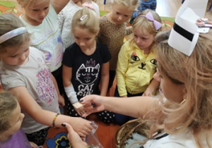 Zdjęcie 6 na 11