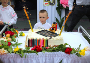Zdjęcie 13 na 15