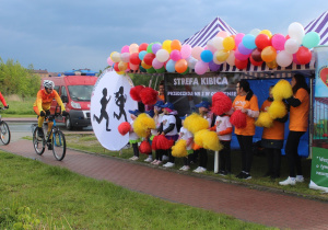 Zdjęcie 3 na 6