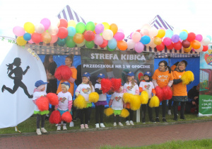 Zdjęcie 5 na 6
