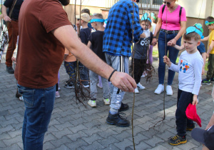 Zdjęcie 4 na 19