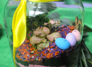 Las w słoiku....warsztaty florystyczne!