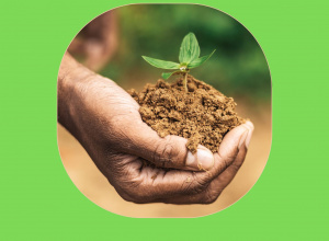 Pierwsze prace wiosenne!