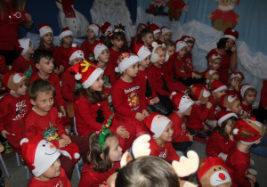 Zdjęcie 11 na 11