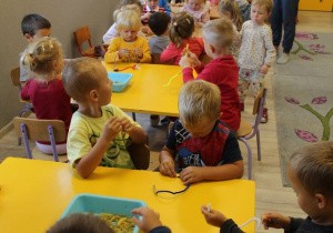 Zdjęcie 12 na 19